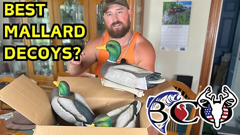 Want to Take Your Duck Hunting to the NEXT LEVEL with DSD MAXIMA MALLARDS Decoys?