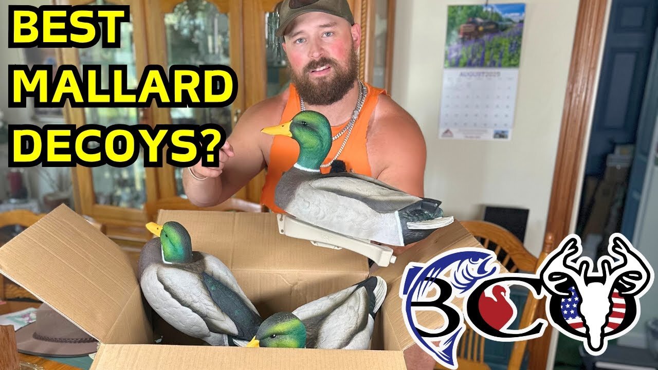 Want to Take Your Duck Hunting to the NEXT LEVEL with DSD MAXIMA MALLARDS Decoys?
