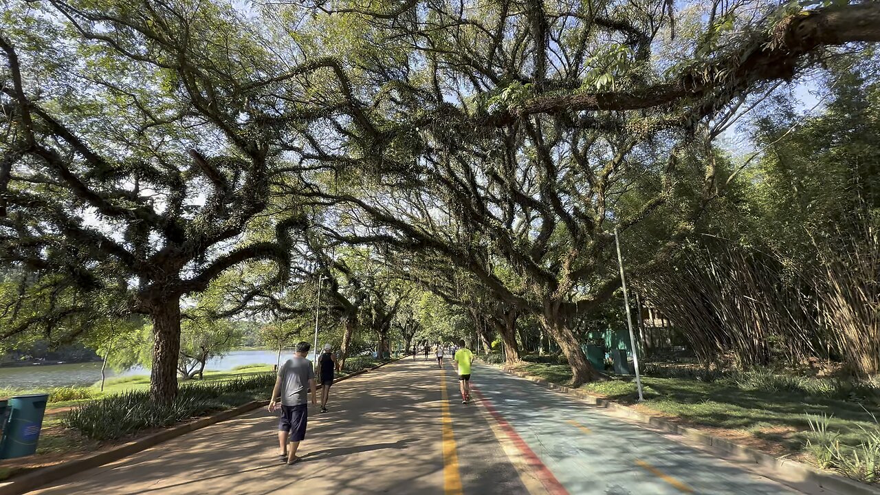 Visitando o Parque Ibirapuera | São Paulo - SP | Parte 2