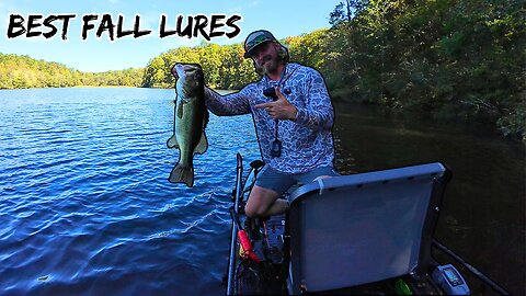 The BEST Fall Transition Bass Lures
