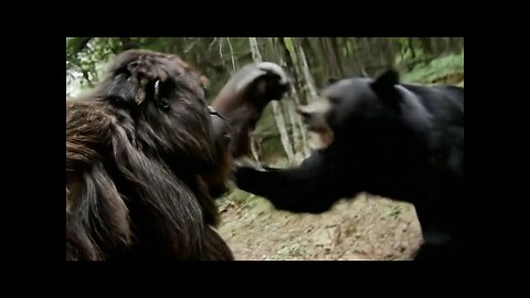 Bigfoot VLOG 3 - I GOT DRUNK AND FOUGHT A BEAR