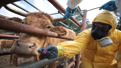 5th Gen AGRO-WARFARE Igniting: China CAUGHT Smuggling BIOWEAPON Into US