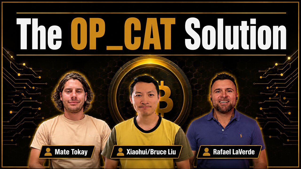 Stop Settling for Digital Gold: OP_CAT and the Restoration of Satoshi's Vision