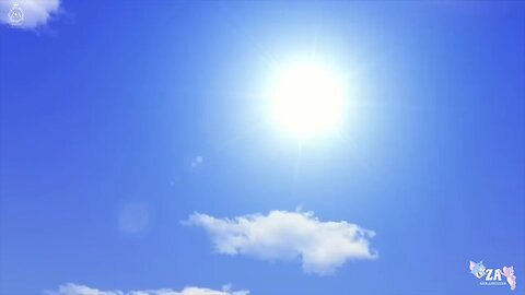 Oscar's and Oasis Cartoons