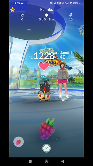 frutas vermelhas para pokémon