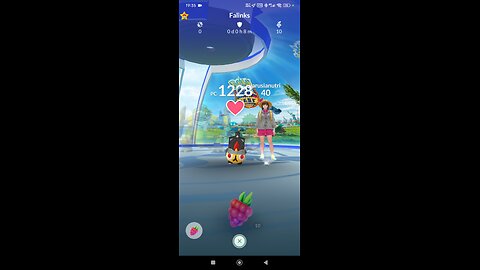 frutas vermelhas para pokémon