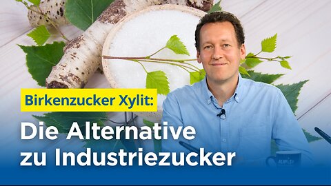 Birkenzucker Xylit: Die Alternative zu Industriezucker