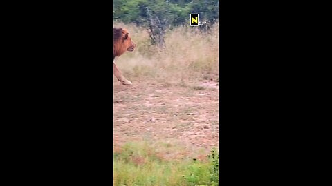 just wait for it