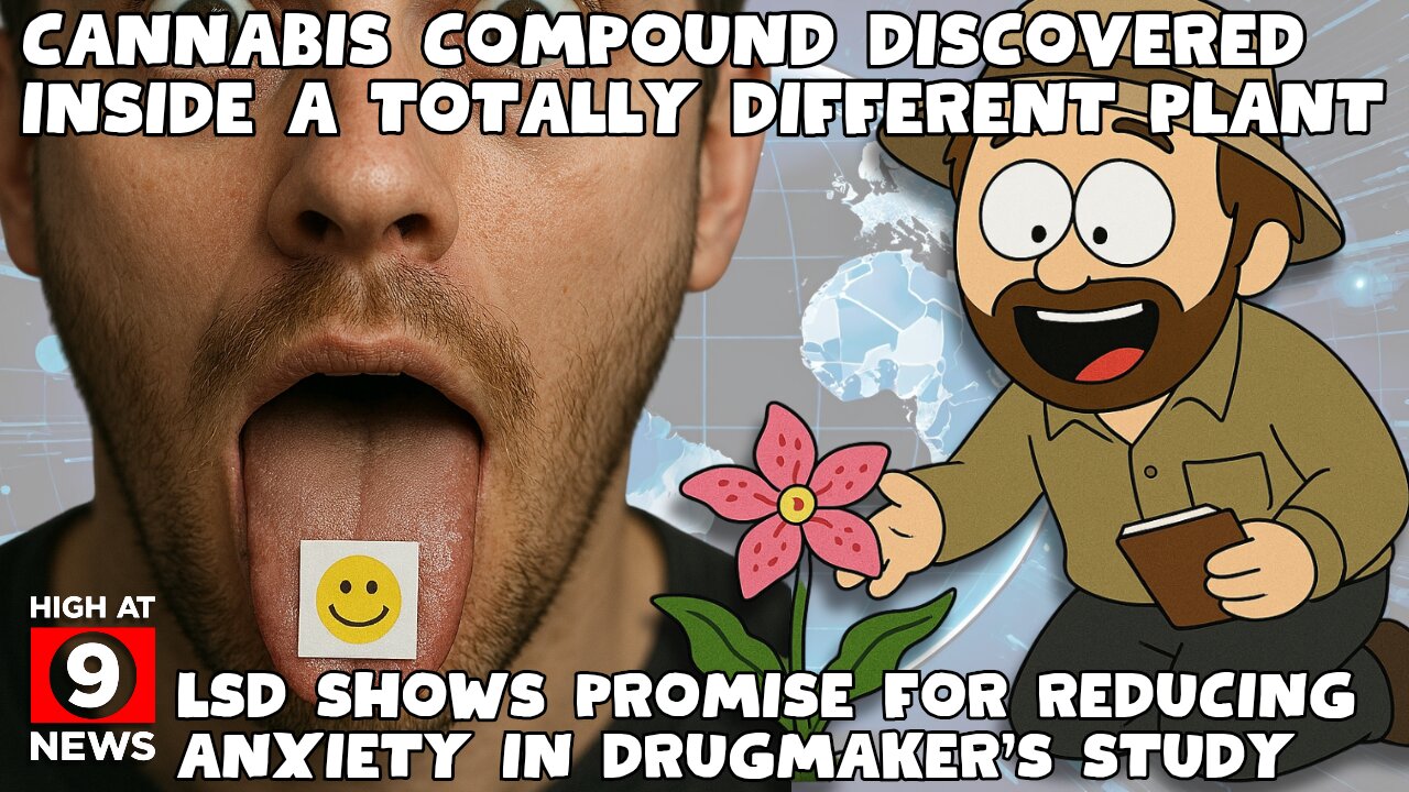 Cannabis Compound Discovered Inside a Totally Different Plant