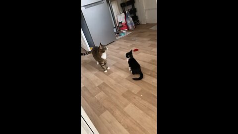 Failed stand off