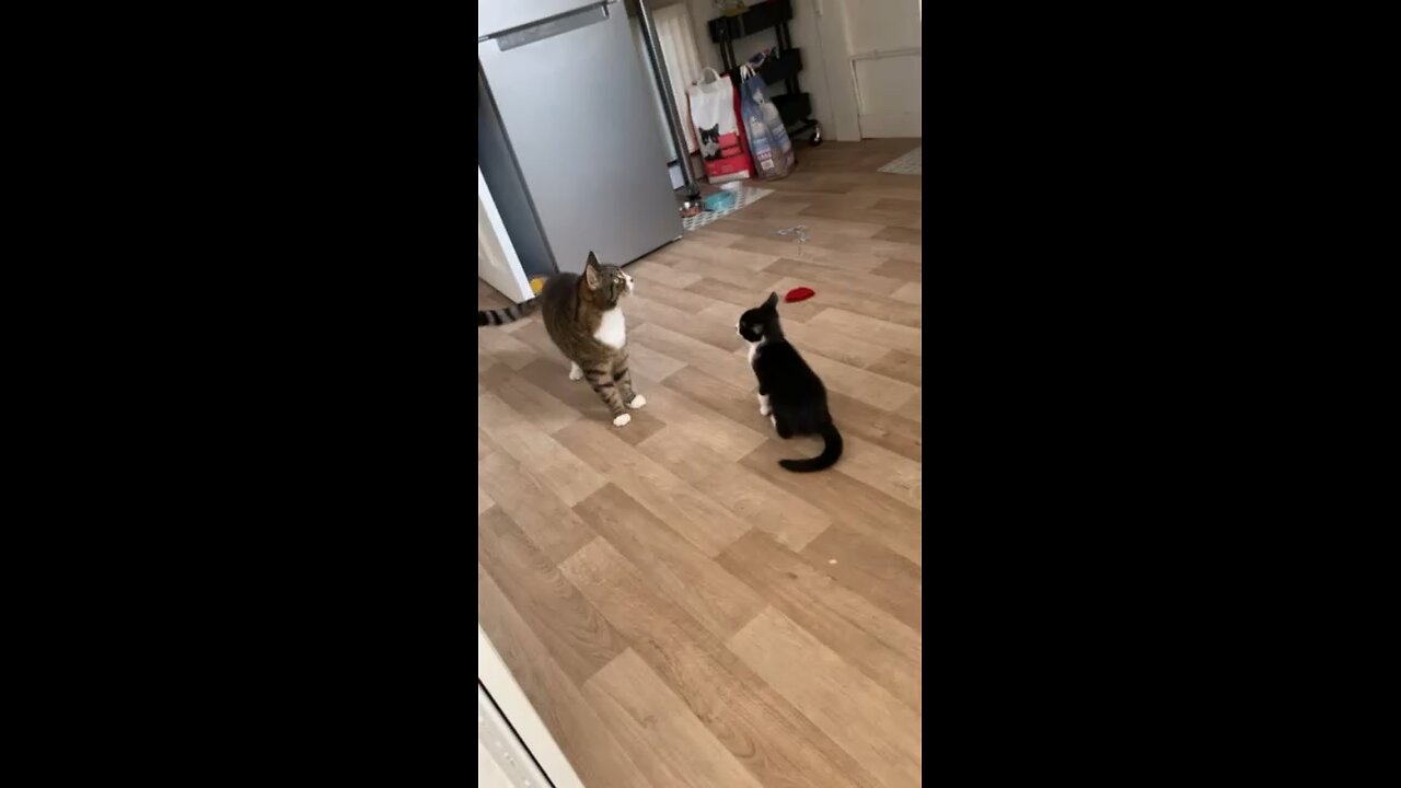 Failed stand off