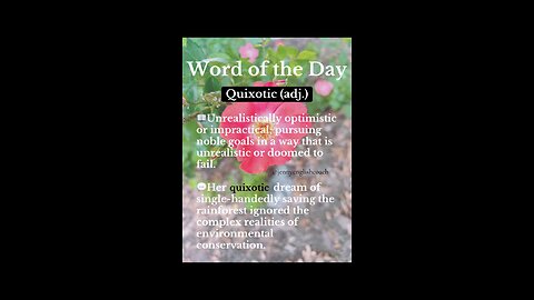 Word of the Day: Quixotic