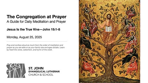 Jesus Is the True Vine—John 15:1-8