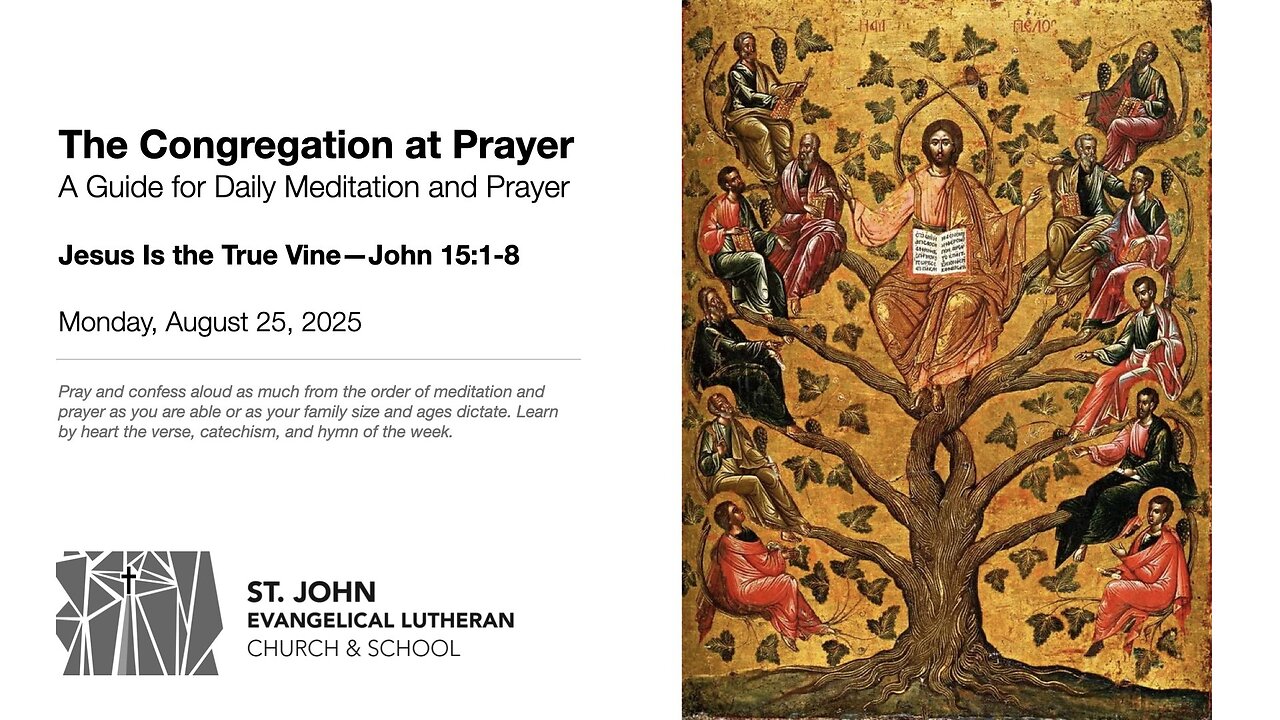 Jesus Is the True Vine—John 15:1-8