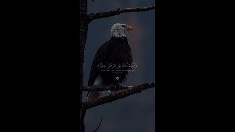 Quran recitation