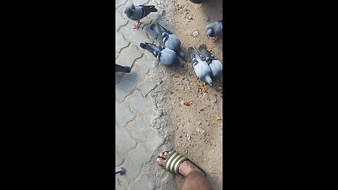 this nature like world