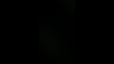 Live Stream