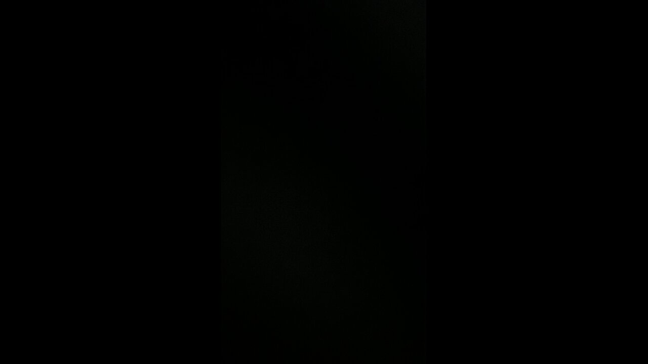 Live Stream