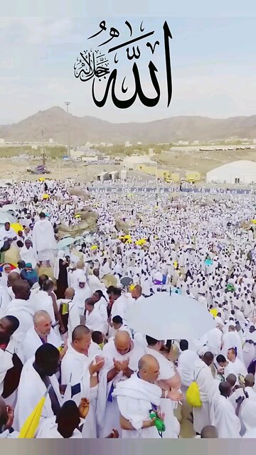 we need to search for the right way