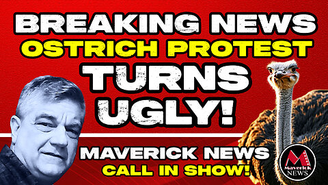 Special Call-In Show: Ostrich Farm Cull Protest - Activists in Conflict