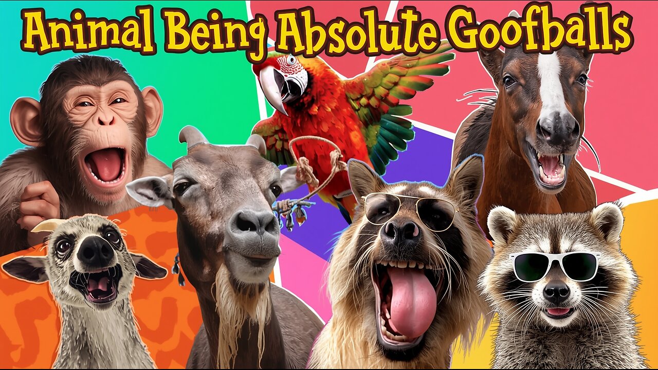 Animals Being Absolute Goofballs 🤪