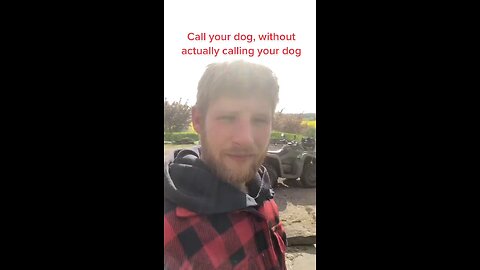Call your dog Without actually calling your dog trick