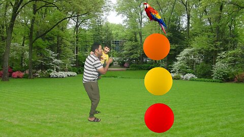 Rounding coconut to Duck, Peacock, Pigeon& Parrot - Birds names magic video
