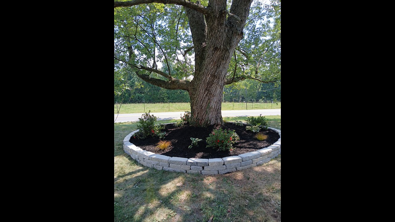 ##rumble #trending #fyp #reels #trending #fyp