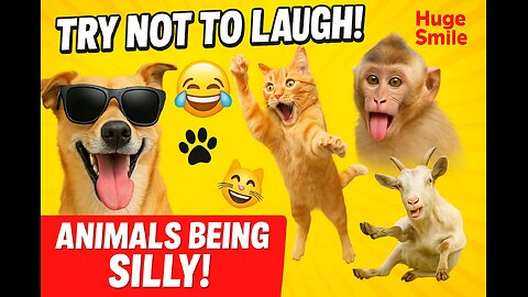 You Laugh You Lose 😅 Best Funny Cats and Dogs Videos 😹🐶