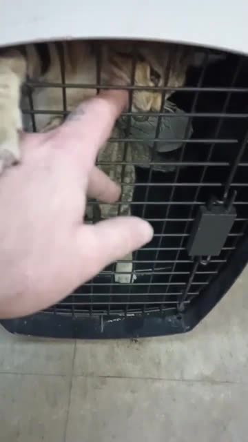 Some @$$ threw her out of a car.