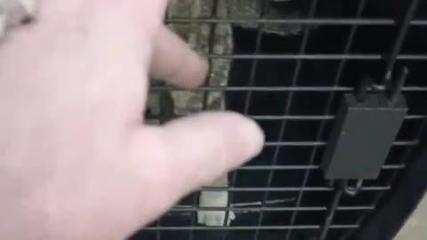 Some @$$ threw her out of a car.