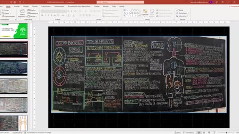 SAVIA REGULAR 2025 | Semana 12 | Anatomía