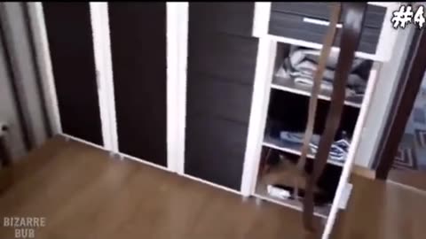 💀👻 Poltergeist and Paranormal Activity That Defies Explanation! | TheHauntingHour