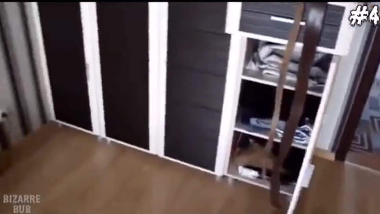 💀👻 Poltergeist and Paranormal Activity That Defies Explanation! | TheHauntingHour