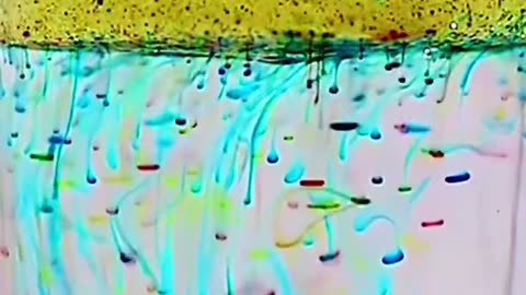 rainbow rain#scienceexperiments #scienceismagic #chemistryexperiment #steam #simpleexperiment