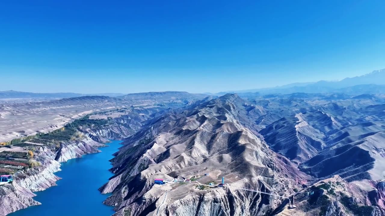 🚗 The Fate of the Furious | Dom vs Team | Epic Action Scene 🔥 #shorts