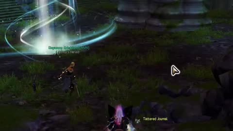 Reading Between the Lines (Achievement Guide) - Guild Wars 2