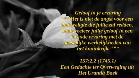 Geloof In Je Ervaring