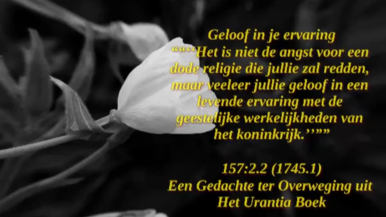 Geloof In Je Ervaring