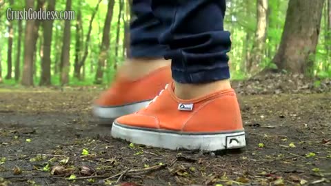 Vans walking down dirt path