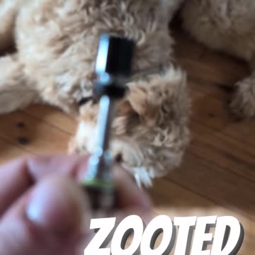 Yo... Owe me $40 DOG.