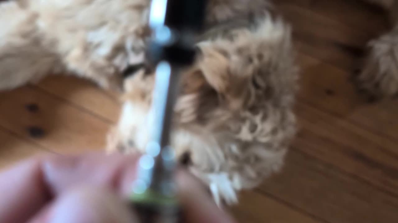 Yo... Owe me $40 DOG.