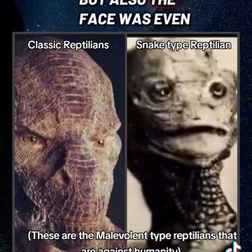 REMOTE VIEWING 2 SPECIES OF REPTILIAN