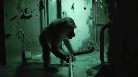 "Abandoned Ship Vlog by a Funny Monkey 🐒 | Hidden Secrets Revealed!"