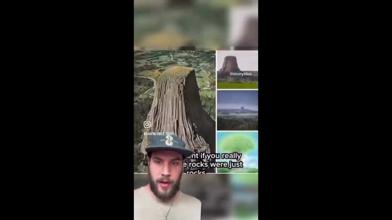 Avatar Was A Documentary 🌳👀