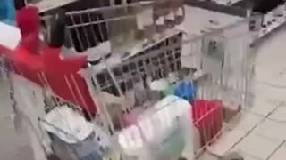 France-Internet is Down| Business doesn't Take Cash