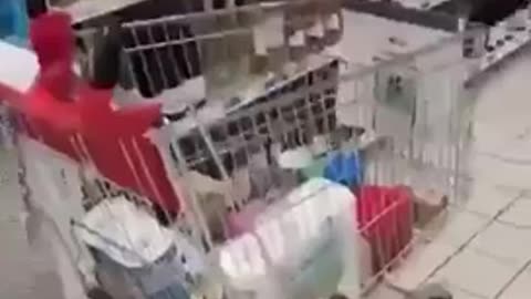 France-Internet is Down| Business doesn't Take Cash