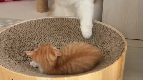 ?