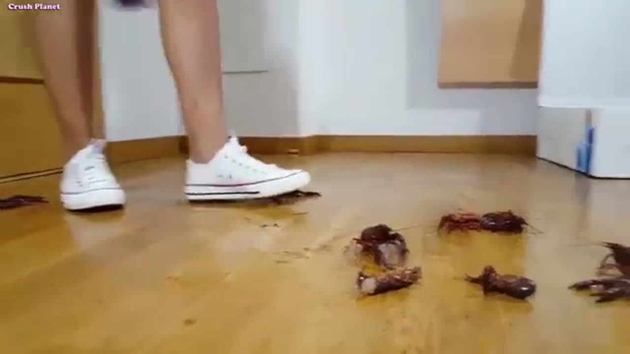 Crushed by Cheerleader
