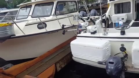 😂🚤 Checking the Boats: You Won't Believe This! | FunFM